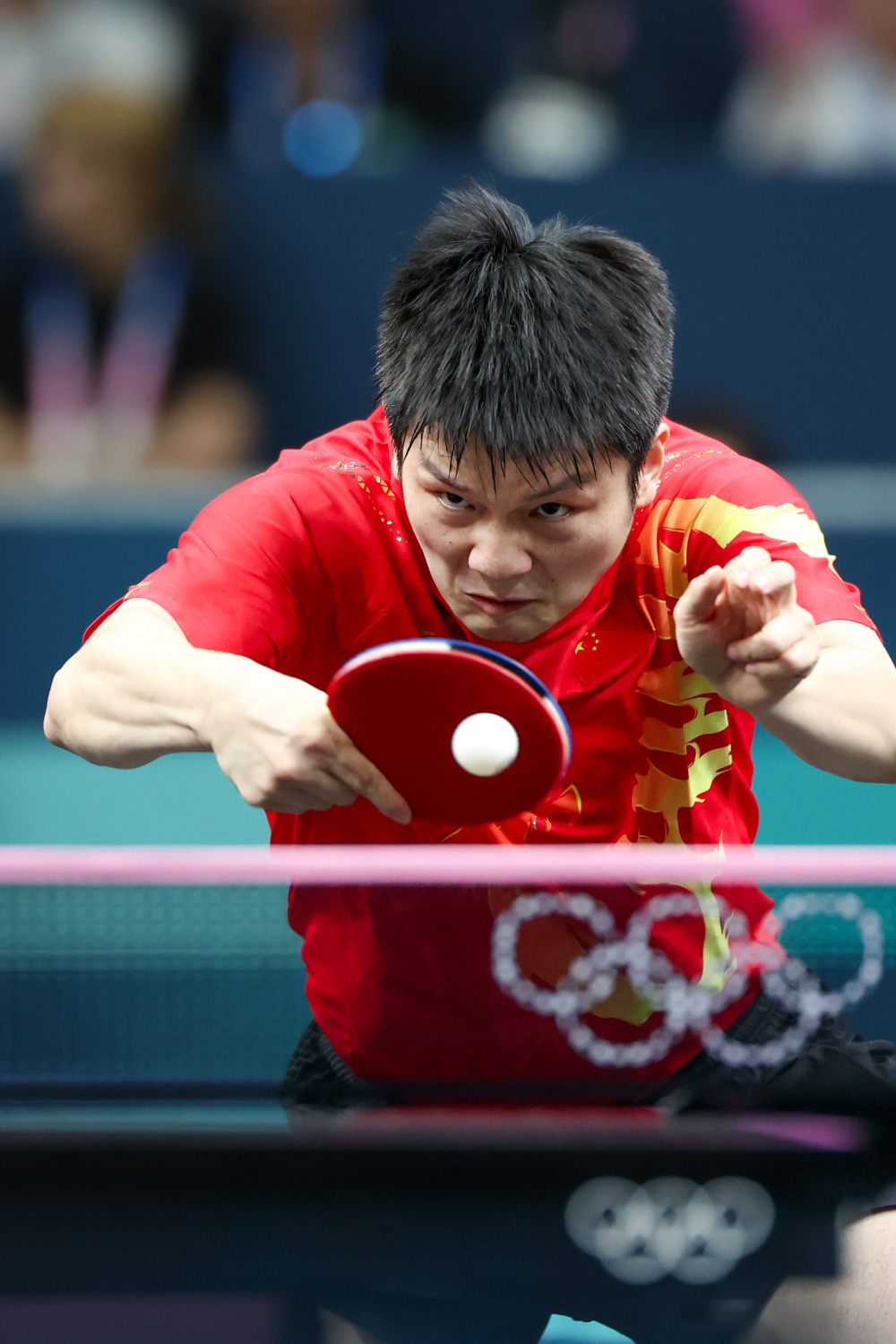 英国乒乓球队血洗波兰乒乓球队,樊振东高光表现的简单介绍 英国乒乓球队血洗波兰乒乓球队,樊振东高光表现的简单介绍