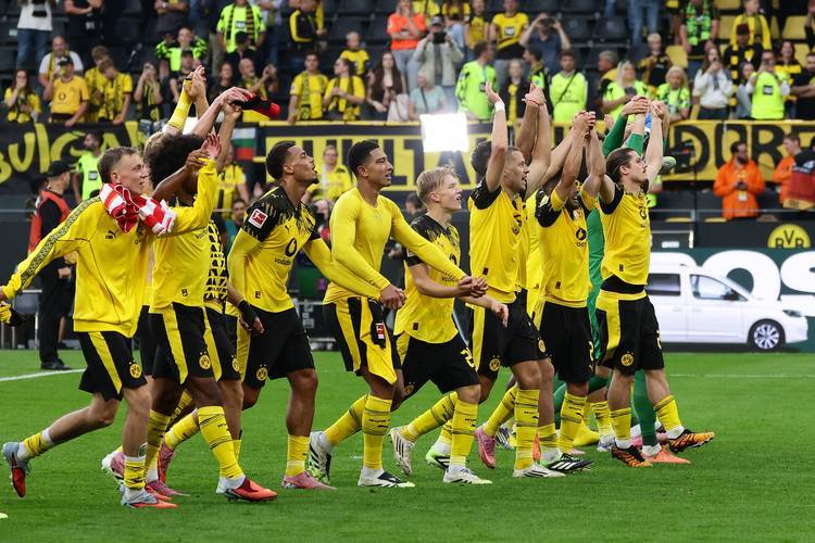 开云体育平台APP-关于多特蒙德主场大捷，全力冲刺的信息