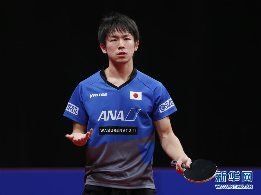 关于中国乒乓球队强势奥地利乒乓球队，波尔绝境逆转的信息